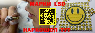 молекула духа Гатчина