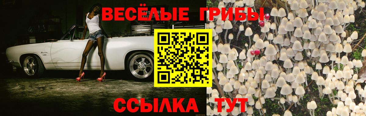 Галлюциногенные грибы ЛСД  где купить   Севастополь  Вход с VPN 